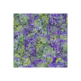 Bliss Pansy - DP23887-82